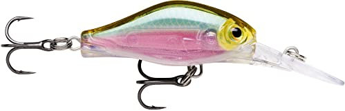 Rapala - Shadow Rap Fat Jack Angelköder - Angelzubehör für Forelle, Barsch und Döbel - Süßwasser Spinnköder - Lauftiefe 3m - Fischköder 4cm, 4g - Hergestellt in Estland - Glassy Gill UV