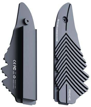 PS5 Dissipatore in alluminio antipolvere, dissipatore M.2 NVME SSD per PS5 (non per PS5 Slim) Kit di montaggio con vite di fissaggio e cuscinetti termici in silicone