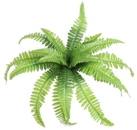 1 x künstlicher lebensechter großer Farn, Glas, grüne Dekoration, künstliche Blume, Latex, echte Brautstrauß, Dekoration, Blumen in Vase (A, Einheitsgröße)