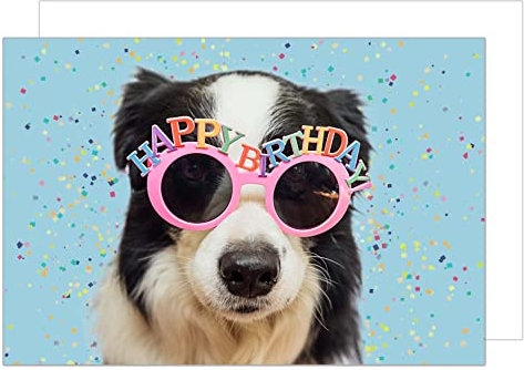 Edition Seidel Premium Geburtstagskarte mit Umschlag. Glückwunschkarte Billet Happy Birthday Grusskarte Mann Frau Tierkarte Hund Brille Humor lustig (G3419 SW023)