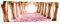 Panorama Bilder auf Glas 160x50cm Glasbild Baum Blumen Kirsche Natur Groß XXL Wanddeko Bild im Glas Schlafzimmer Küche Wandbilder Dekoration Wohnzimmer Modern Wand Kunstdruck Art GAB160x50-2794