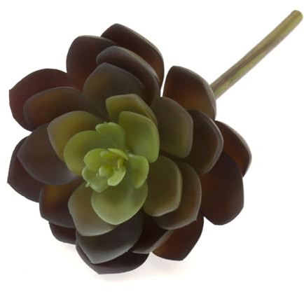 Realistic Artificial Succulent Echeveria - Green Mauve