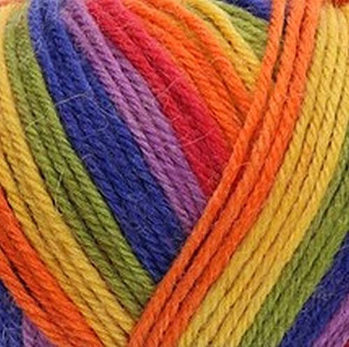 West Yorkshire Spinners Colour Lab DK #891 technicolor, 100g bunte Wolle 100% reine Schurwolle zum Stricken und Häkeln