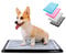 Pet Awesome Dog Potty Tray/Puppy Pee Pad Holder 25”x20” Indoor Wee Training for Small and Medium Dogs