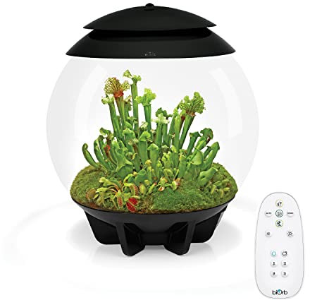 biOrb 72558 AIR 30 schwarz - Terrarium mit LED-Beleuchtung, Acryl-Becken zur Pflanzenpflege, für empfindliche und exotische Pflanzen