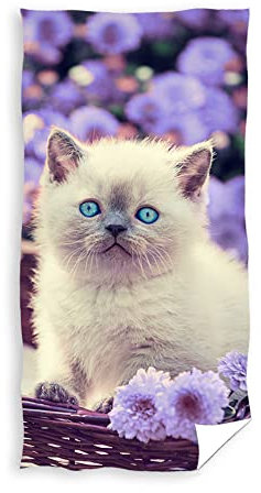 Carbotex Katzen-Baby Kätzchen Strandtuch Badetuch Duschtuch Baumwolle 70cm x 140cm Kitten (Mehrfarbig TNL214009)