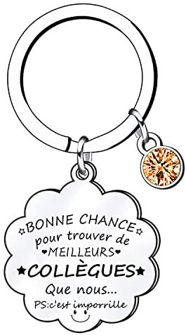 Lumengqi Cadeaux de Noël pour Collègue Porte-clés Collègue Porte-clés d'amitié Porte-clés Femme Cadeau de Retraite Cadeau pour Collègue Cadeau de Remerciement Cadeau de Collègue