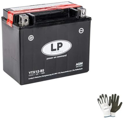 Compatible avec Yamaha TDM (3VD/4TX) 850 1991 A 1995 Batterie LP YTX12-BS SCELLÉE 12V/10AH Batteries pour Moto Scooter DÉJÀ PRÊTE À Usage Bricolage 150X87X130MM