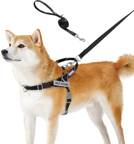 Wuffley Anti-Zug Hundegeschirr mit Leine, Hundegeschirr Kleine Mittelgroße Hunde, Geschirr Hund mit Griff und 2 Aufnähern, Reflektierendes, Leichtes Brustgeschirr Hund für Outdoor-Training(Schwarz,S