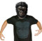 Masque de Gorille Masque de Singe d'Halloween Couvre-Chef Masque d'animal Drôle Masques Gorilles Singe Réaliste en Latex Chimpanzé Animal Tête Déguisement pour Halloween Carnaval Fête Costumée