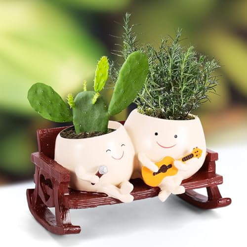 Houkiper Pot de fleurs en résine avec visage balançoire - Pot de fleurs amusant - Double chaise à bascule - Pour l'intérieur et l'extérieur - Pour la culture de plantes succulentes