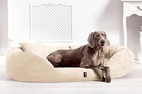 tierlando® Orthopädisches Hundebett Sammy | High-Tech-Velours | Dicke Umrandung | L - XXXXL Hundesofa Beige Gr. XXL 140 cm