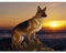 YSCOLOR Diamond Painting Deutscher Schäferhund, Diamantmalerei, komplett, rund, Hundestein, Diamant-Stickerei, Strass, DIY, Hobby, Nähen, Malerei, Kunst, 30 x 40 cm
