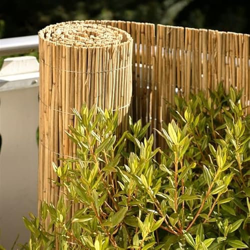 Shamz Extra Thick Bamboo Screening, Eco-Friendly Privacy Fence, Rustic Tropical Style, Light Brown, Greenish Color, 1.5m x 3m
