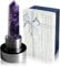 HINATAA Crystal Water Bottle, Removable Natural Crystal Gemstone Glass Bottle, Portable Proof Leak Natural Quartz Water Bottle, BPA Free Durable Gemstone Bottle 550ml (Amethyst Crystal)