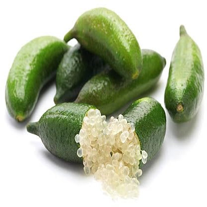 Graines de citron caviar 90 pièces vertes