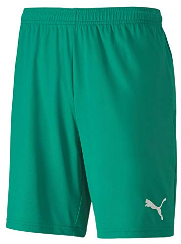 Puma teamGOAL 23 Knit Shorts Homme, Pepper Green, M