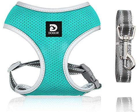 Dociote Hundegeschirr Set mit Leine - Brustgeschirr Welpengeschirr Set mit Leine & Reflektorstreifen verstellbares Geschirr für Welpen kleine Hunde Katzen Türkis XS