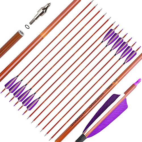 SHARROW Carbonpfeile 32 Zoll Carbon Pfeile für Bogenschießen Spine 500 Carbon Pfeile Carbon Jagdpfeile mit 4 Zoll Natürliche Federn Pfeile für Pfeil Bogen Recurvebogen Compoundbogen (Pfeile, 12P)