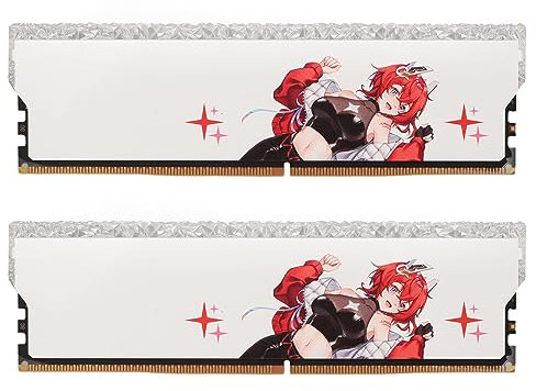 Desktop-Speichermodul, 2 Stück 16 20 20 38 CL Hochgeschwindigkeits-Desktop-Speicher Zum Aufrüsten (16 GB (2 x 8 GB))