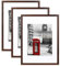 Scholar Tree Brown Picture Frame 12x16 (30x40cm) with Mount for 8.5x11, Set of 3, 30x40cm Poster Frame,Wall Mountable