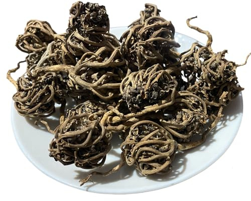 Roses de Jéricho (Chajarat Mariam) de Petites Tailles | Anastatica Hierochuntica | Fleur de Maryam | Plante du Désert Biologique | Fleur de Marie, Pur et sans Additif | عشبة كف مريم (10 Pcs)