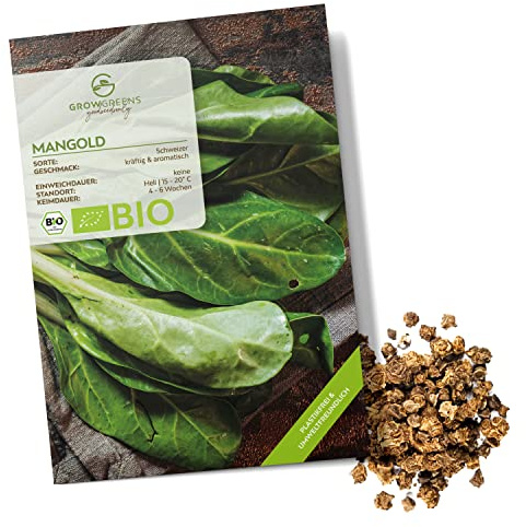 BIO Mangold Samen (Schweizer, 75 Korn) - Mangold Saatgut aus biologischem Anbau ideal für die Anzucht im Garten, Balkon oder Terrasse