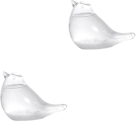 HOMSFOU 2st Glas Für Tischplatte Geschenk Schreibtischaufsatz Barometerglas Wettervorhersage Vogeldekor Auf Dem Tisch Sturmglas Sturmbarometer Wetterglas Wetterflasche Der Vogel