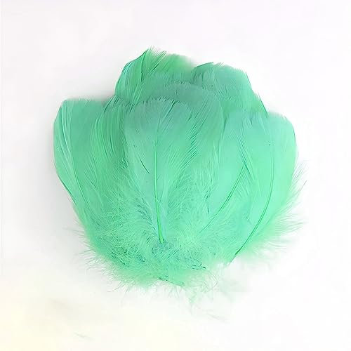 Gänsefedern Mintgrün 7-12cm - 100 Stück (5g) - Hochwertige, Flauschige & Natürliche Federn für Basteln, Dekoration, DIY Projekte, Traumfänger, Schmuckherstellung & Mehr