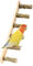 Leiter Vogel Spielzeug Papageien Leiter Vogelspielzeug Spielzeug Holzleiter Hölzerne Strickleiter Hamster Wooden Ladder Papagei Holz Kletterleitern für Kleine Bis Mittlere VöGel