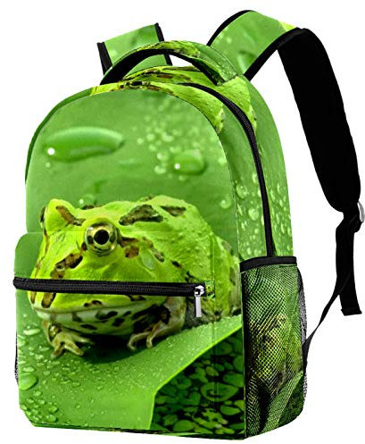 Leichte Rucksack College School Tasche Laptop Daypack für Erwachsene und Kinder Casual Rucksack Frosch