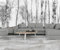 Kalodity Fototapete Panorama Dschungel Schwarz und Weiß 3D Seide, 300 X 210 cm Tapete Hain Tropical Natur – Große Wandposter für Wohnzimmer, Erwachsene, Kinderzimmer, Studie Dekoration