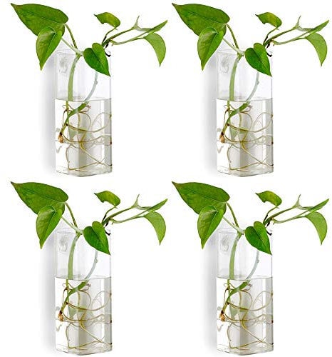 Nuptio 4 Pezzi Vaso di Fiori Vaso di Fiori Terrario Vaso Fioriera Appeso a Parete in Vetro Cristallo