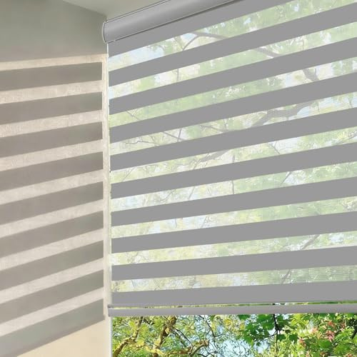 Changshade Zebra Blinds for Windows Cordless Double Layered Roller Semi Sheer Shades with Valance Light Filtering Privacy for Day and Night Pull Down Roller Shade for Home Office,20 W×72 H,Grey