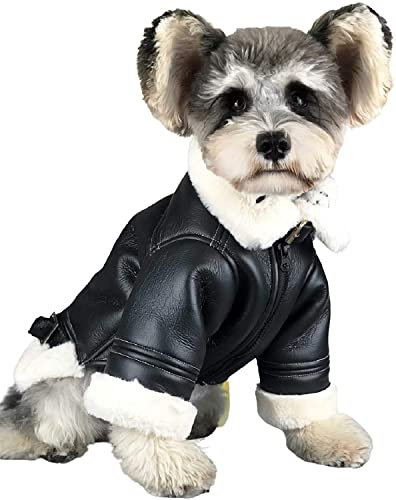 Leder Hundemantel Jacke Winter Hundekleidung Pudel Pomeranian Schnauzer Mops Französische Bulldogge Kleidung Dicken Warmen Haustier Outfit