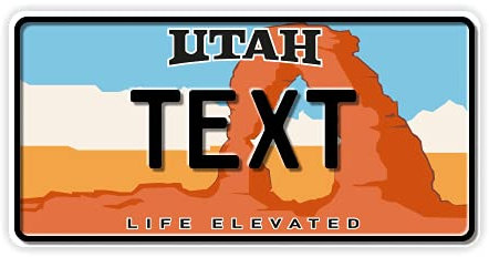 Funschilder.de - USA-Motiv, individuell gestaltetes Funschild, Wunschmotiv mit verschiedenen Staaten, Kennzeichen aus Aluminium mit Wunschtext, Made in Germany, 300 x 150 mm