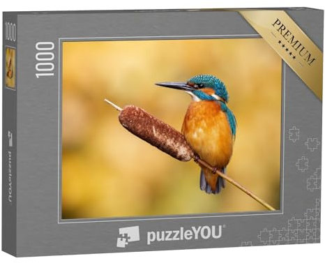 puzzleYOU: Puzzle 1000 Teile „Ruhiger männlicher Eisvogel, Alcedo atthis“ – aus der Puzzle-Kollektion Vögel, Eisvogel