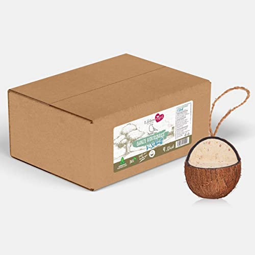 Liebesvogel für Wildvögel 4 Stück Kokosnüsse V-Cut für Wildvögel