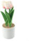 Tulpen-Topf mit PU-Haptik, künstliche Tulpenpflanzen im Topf, für Zuhause, Hochzeit, Party, Dekoration (Champagner)