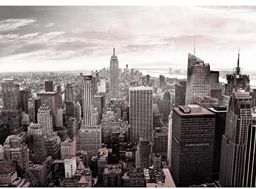 Runa Art Fototapete New York City Modern Vlies Wohnzimmer Schlafzimmer - Made in Germany - 308 x 220 cm Rosa Grau 9246010b