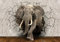 wandmotiv24 Fototapete Elefant 3D Wanddurchbruch, XS 150 x 105cm - 3 Teile, Wanddeko, Wandbild, Wandtapete, Tier, Mauer, Bruch M1238
