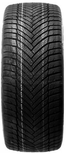Minerva All Season Master XL M+S - 175/70R14 88T - Ganzjahresreifen