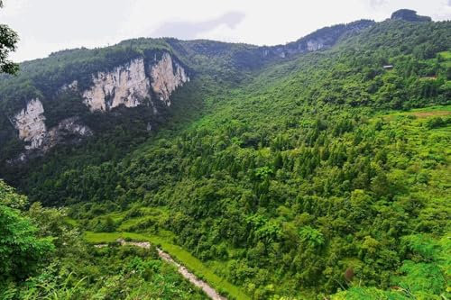 Luowenji Papier Peint Panoramique Paysage de Montagne 300x210 cm 3D Papier Peint Intissé Forêt Verte Photo Trompe l'oeil Poster Geant Mural Salon Chambre Enfant Chambre Décoration Murale a.2508