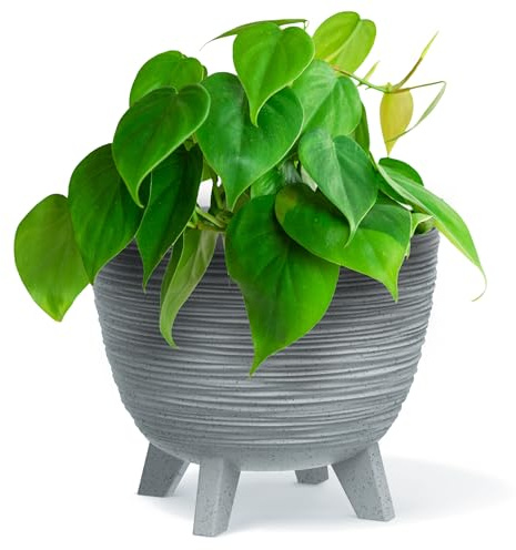 B2C Bowl Planter Plant Pot with Legs Oval Flower Modern Decorative FURU Indoor 4 Colours Modern Elegant Plqastic Matt Finish Textured Home Office Balcony Lightweight (Grey, 23.6cm)