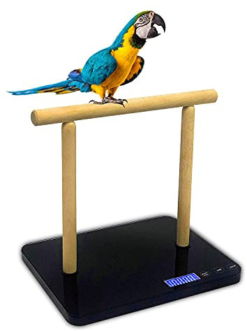 MINDPET-MED Balance pour oiseaux, noir, précision jusqu'à ± 1 g, convient pour aras, perroquet et tous types d'oiseaux