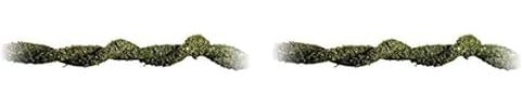 Exo Terra Moss Vine, Moos Liane, bemooste Rebe, biegsam und verdrehbar, klein, 1 Stück (2er Pack)