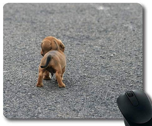 Custom mouse pad,Dog Lover Mouse Pad,Dog Puppy Sausage Brown Small Cute,dogs Gaming mouse mat