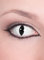 Raubtier weiße Kontaktlinsen/Monatslinsen - Motivlinsen ohne Sehstärke - Unisex - Erwachsene - ideal für Halloween, Karneval, Motto- und Horror-Party