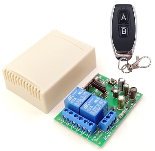 Receptor RF universal para puerta de garaje y control de luces con mando a distancia 2 canales 220 v 12-24v interruptor rele transmisor para puertas persianas porton cochera (12/24V - 1 Remote)