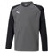 PUMA Unisex Baby Teamliga Training Sw Langarmshirt, Perle (Smoked Pearl), 152